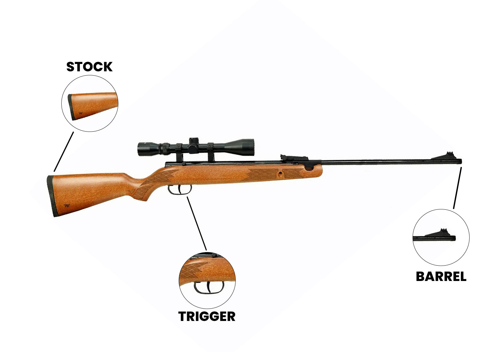 Air Guns Single-Shot Spring Air Rifle Model 55 .22 Cal - Winchester