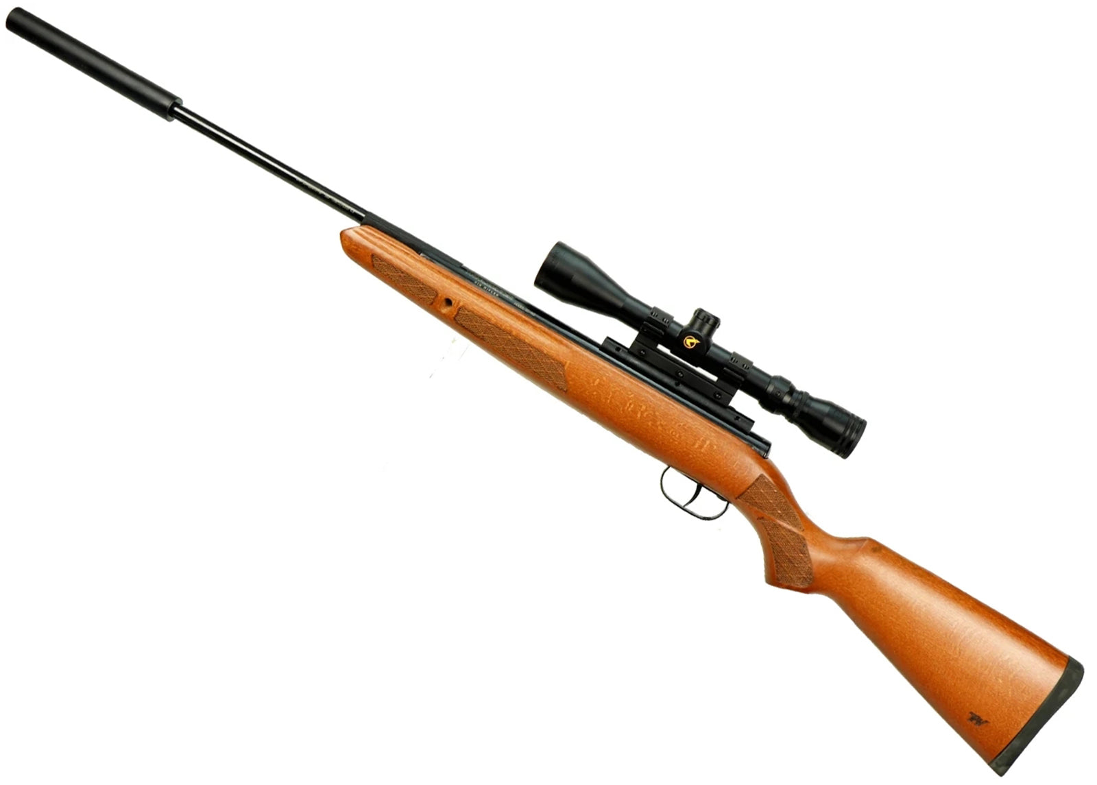 Air Guns single-shot spring Air Rifle Model 55RS with moderator .22 - Winchester